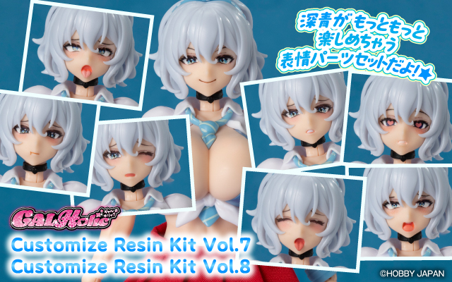 オンリーワンホビーの通販なら HobbyJAPAN onlineshop［ホビージャパン