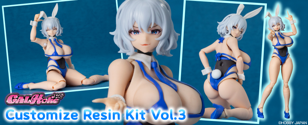 �J�X�^���L�b�g3