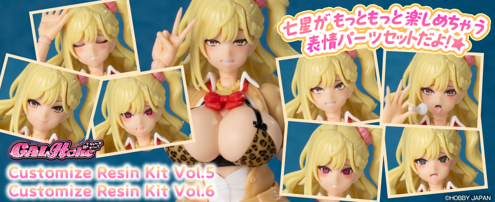 �J�X�^���L�b�g5�E6